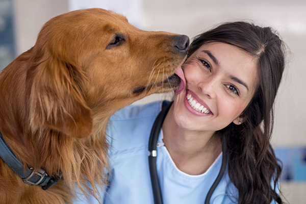 Irish setter kissing a vet tech